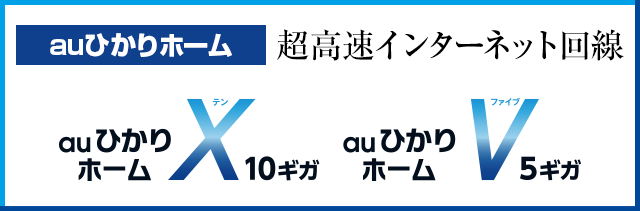 auひかりホーム10ギガ/5ギガ