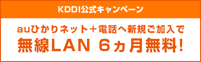 ホームゲートウェイ内蔵無線LAN6ヵ月無料キャンペーン