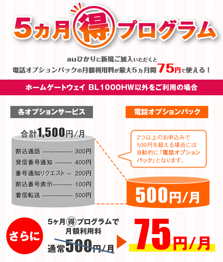 5ヵ月マル得プログラム