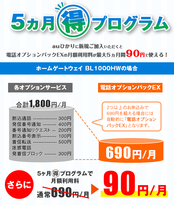 5ヵ月マル得プログラム